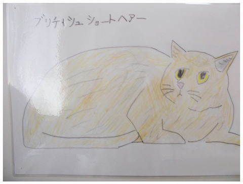 イラスト