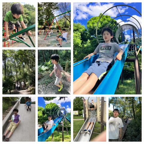 公園