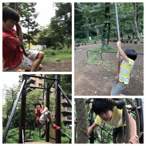 若葉台公園