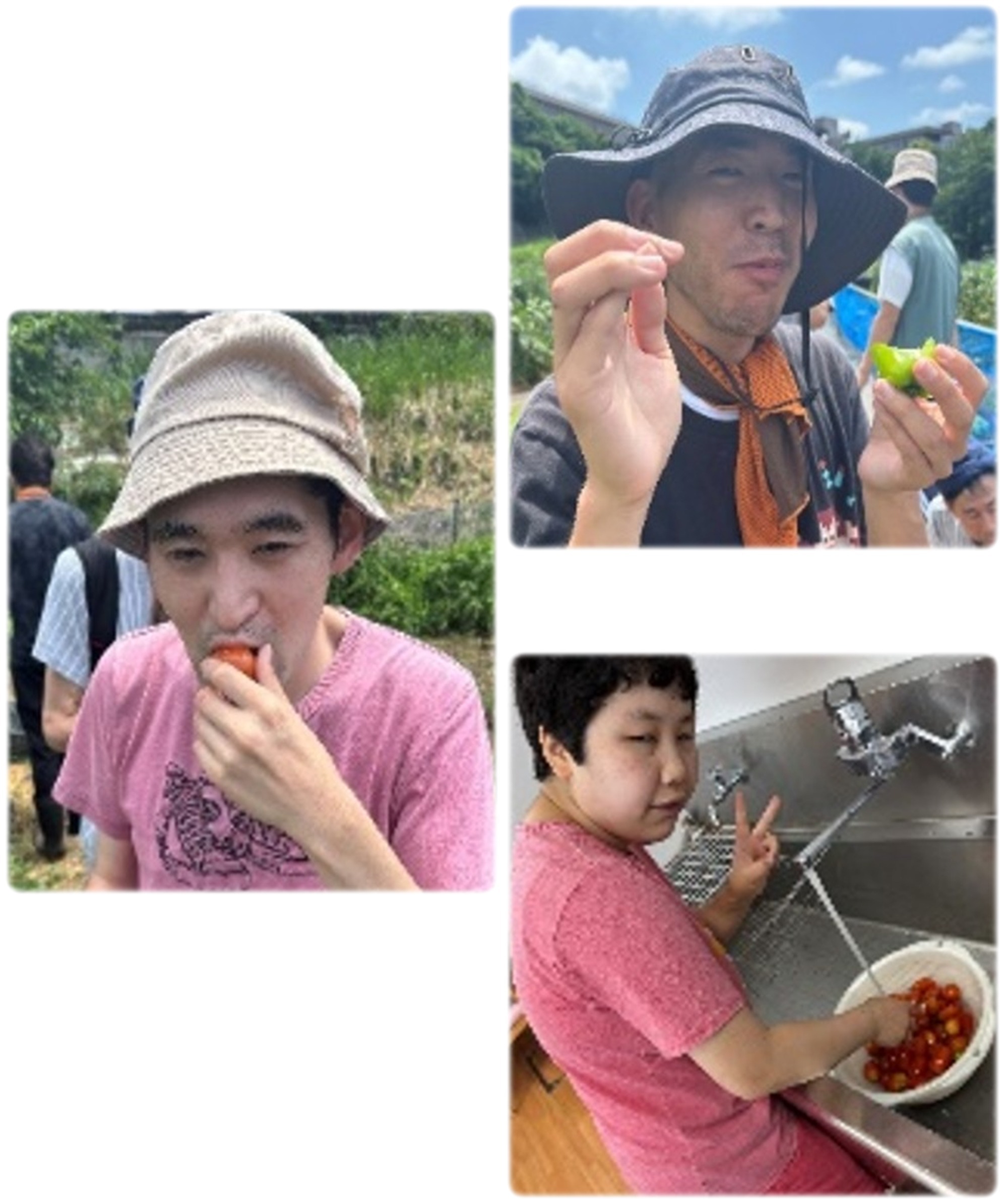 2024年12月の 活動報告