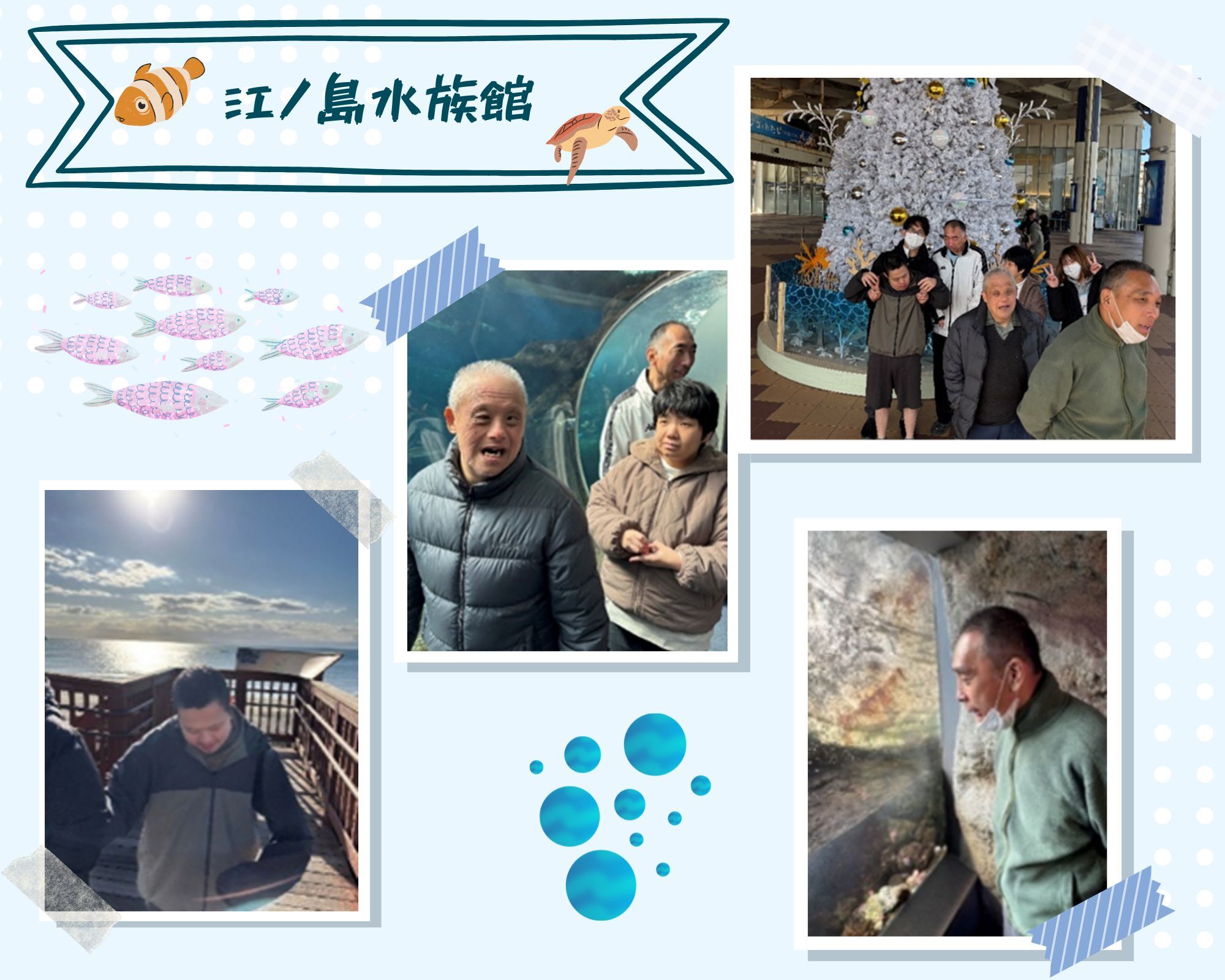 三崎マグロツァー　２０２２年１０月